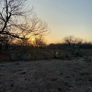 Meet your Posher, Suzette